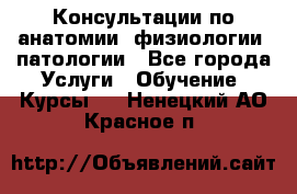 Консультации по анатомии, физиологии, патологии - Все города Услуги » Обучение. Курсы   . Ненецкий АО,Красное п.